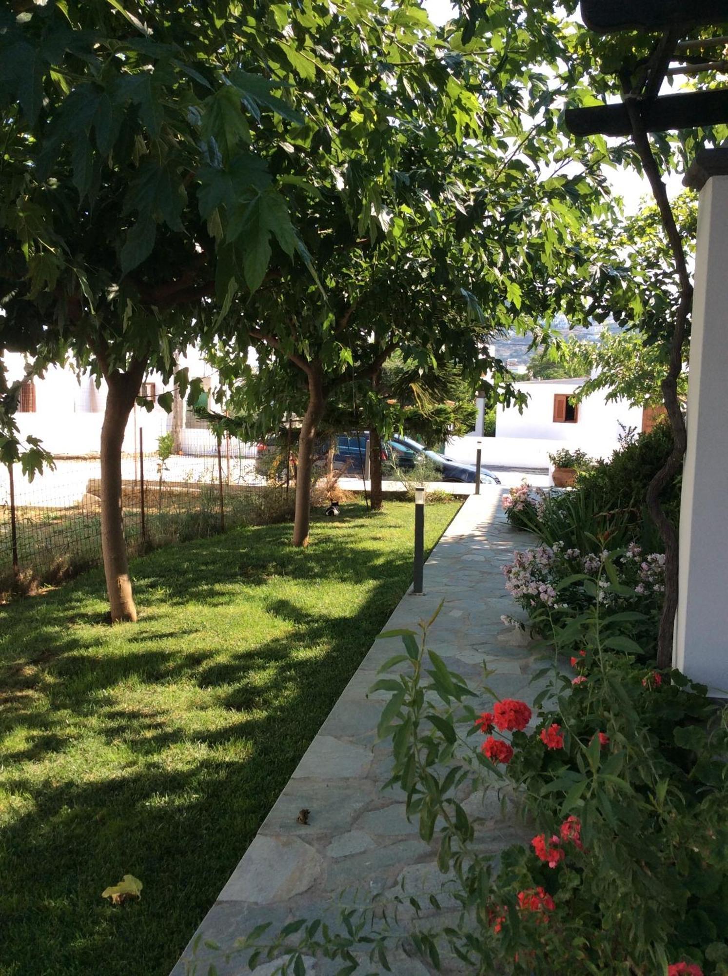 Eleana Studios Скирос Номер фото